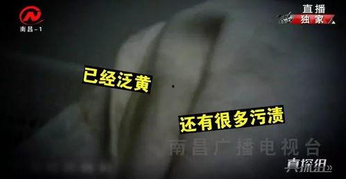 品尚品视频,探寻美食与生活的完美融合