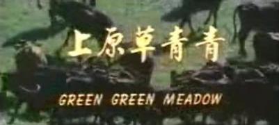 青青草原在线视频观看