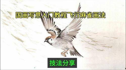 国画麻雀的画法步骤视频,从笔触到成品的艺术之旅