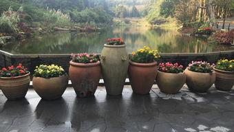 蹬大缸视频,传统技艺的传承与魅力