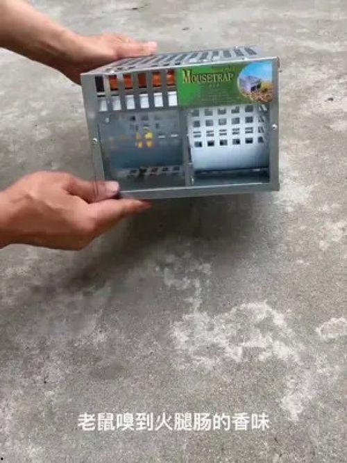 捕老鼠神器视频,高效便捷的家居防鼠新选择